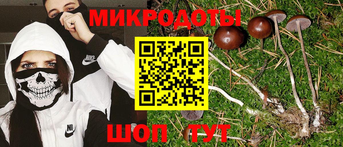 Советская Гавань  Галлюциногенные грибы Psilocybine cubensis  Вход с VPN 